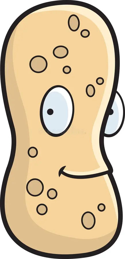 a picture of a peanut with a face